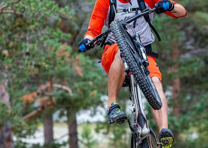 Savalen Fjellhotell & 4*