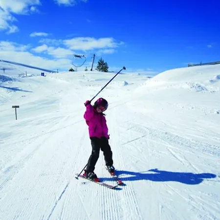 Savalen Fjellhotell & 4*